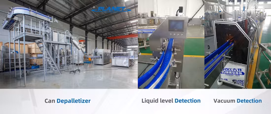 Factory Price Corn Kernel Wash Machine for Freezing Canning Line